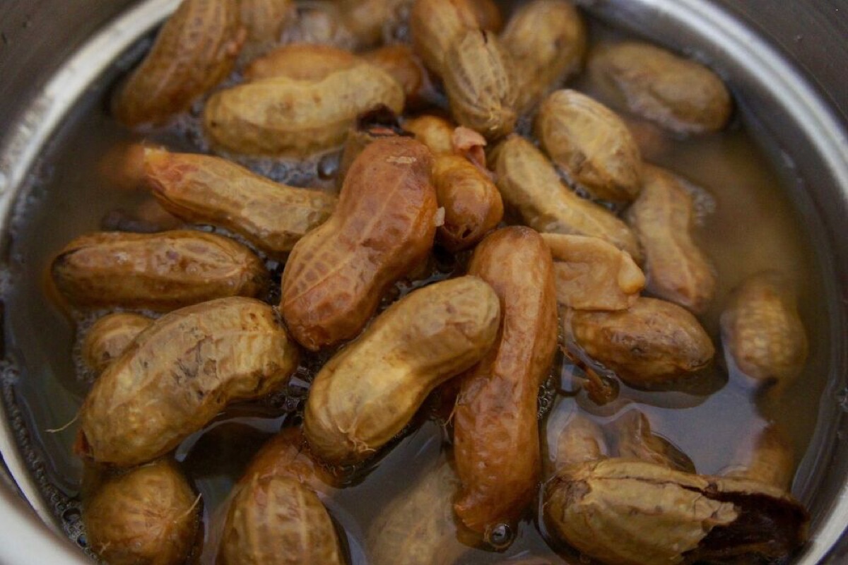 a taste of the south exploring the flavors of southern u s cuisine
