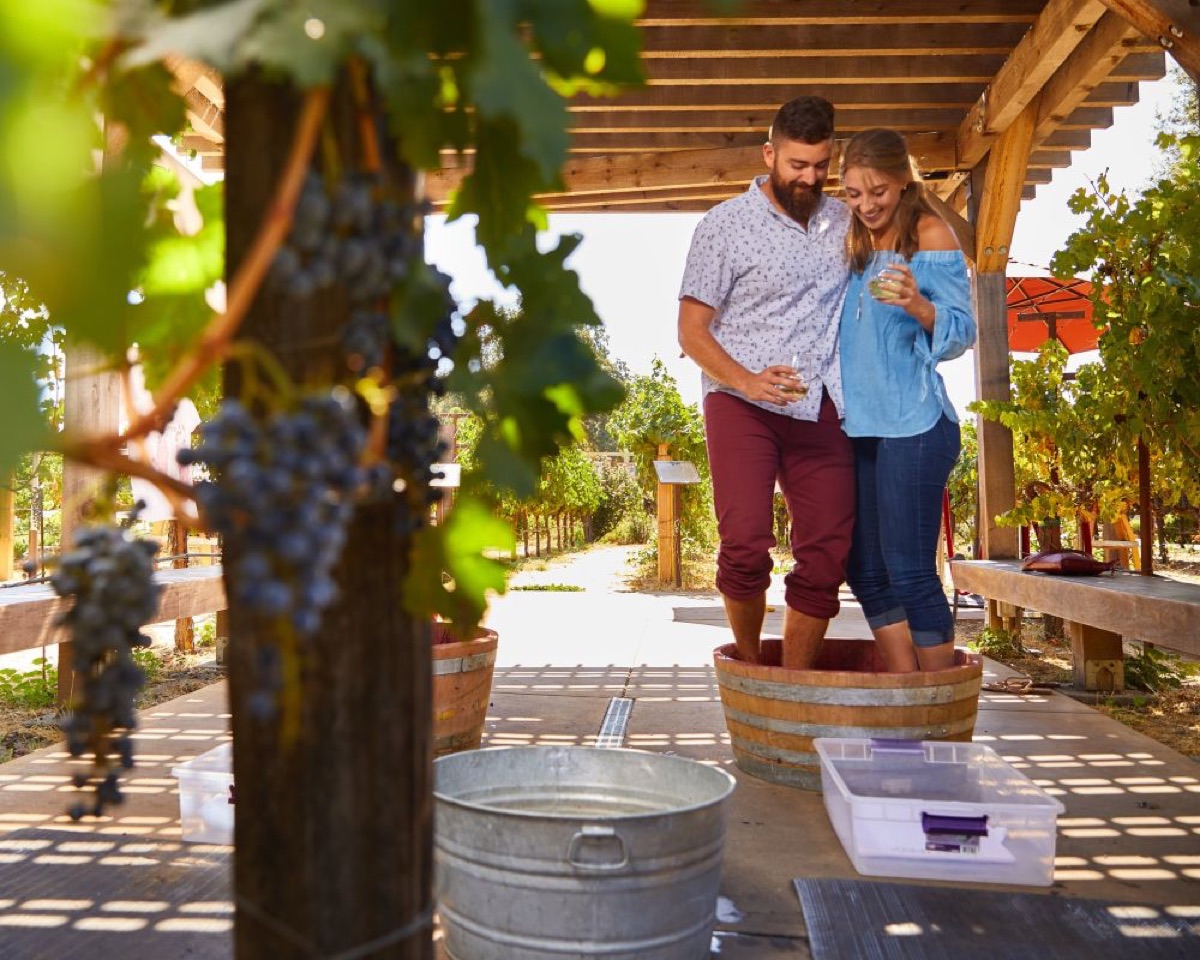 Image Credit: Napa Valley Wine Train